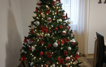 Emma és Réka karácsonyfája