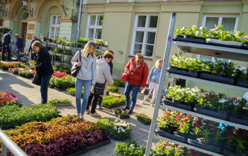 Dübörög a virágvásár a sétálóutcán