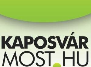 Hamis műtárgyakkal kereskedett a kaposvári férfi