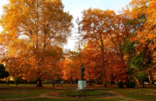 Elképesztő őszi színekben pompázik a Berzsenyi park