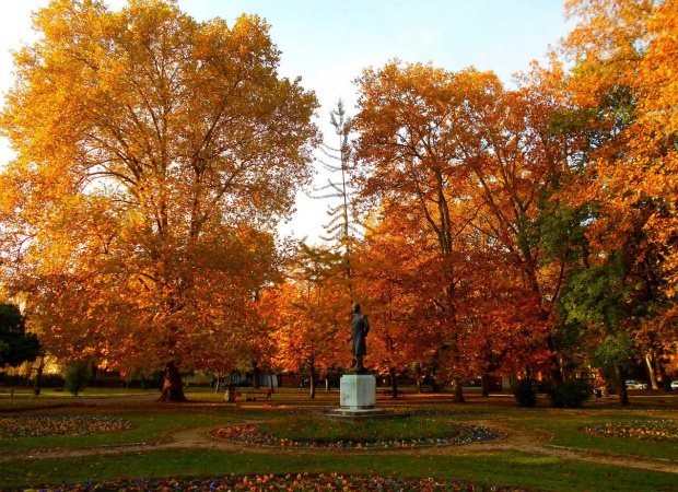 Elképesztő őszi színekben pompázik a Berzsenyi park