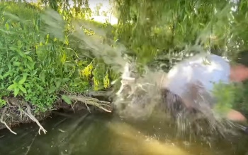 Engem te nem fogsz ki - gondolta a harcsa, majd berántotta a horgászt a kisgyaláni tóba - videó