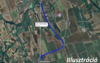 Rendőrök és polgárőrök találták meg a kutyájával elkóborolt idős bácsit