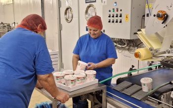A minőség több mint ígéret – nemzetközi audit igazolta a FINO-FOOD Kft. magas színvonalát