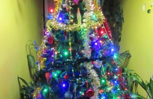 Joósék karácsonyfája