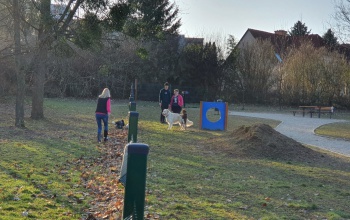 Elkerített kutyafuttató épült a Búzavirág utcában