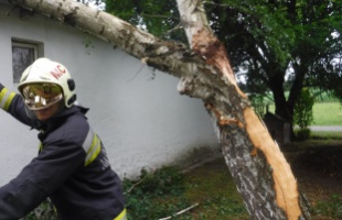 Fákat csavart ki, tépázott meg a vihar Belső-Somogyban