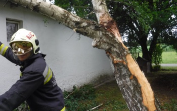 Fákat csavart ki, tépázott meg a vihar Belső-Somogyban