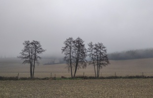 Hűvös időnk lesz, sok felhővel és némi csapadékkal
