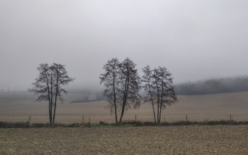 Hűvös időnk lesz, sok felhővel és némi csapadékkal