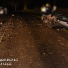 A fényképet a Kaposvári Rendőrkapitányság készítette a helyszín szemle során.