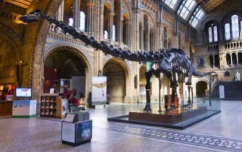 Nyugdíjba megy a londoni Természettudományi Múzeum híres dinója