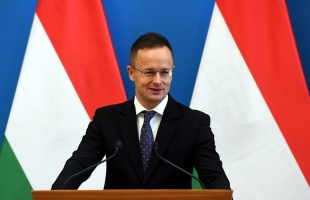 Jól szerepelt az RMDSZ a választásokon
