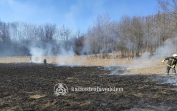 Lángra kapott a száraz aljnövényzet Siófokon