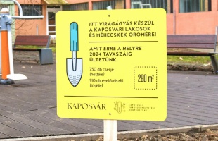 Tavaszi virágágyások színesítik Kaposvárt