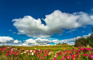 Száraz, nyugodt idő várható a hét első felében