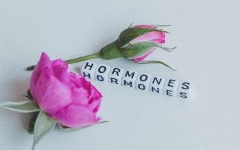 A hormonok titkai: hogyan őrizhetjük meg egyensúlyunkat?
