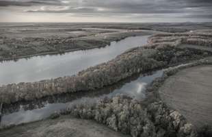 Szemtanúkat keresnek egy brutális állatkínzás ügyében a Desedánál