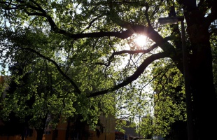 Délutánra felszakadozhat a felhőzet