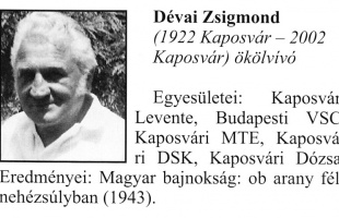 Ökölvívóberkekben csak Zsigának ismerték