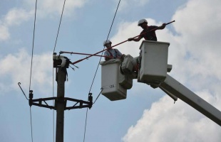 Elektromos vezeték okozta a repülni tanuló kis gólyák halálát