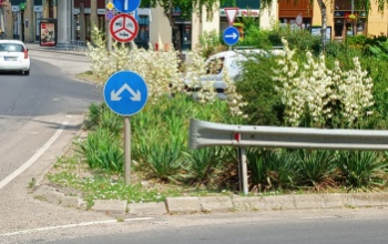 Lehet túl zöld a város?