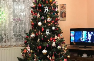 Baracsi Éva karácsonyfája