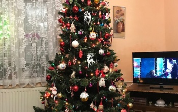 Baracsi Éva karácsonyfája