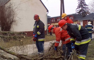 Szél tépázta a fákat, villám sújtotta Törökkoppányt