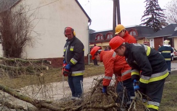Szél tépázta a fákat, villám sújtotta Törökkoppányt
