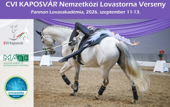 Hat ország lovastornászai Kaposváron