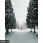 Berzsenyi park