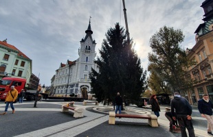 Megérkezett a Kossuth térre a város idei karácsonyfája