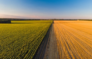 Új pályázati kiírás segíti az agráriumhoz kapcsolódó társadalmi vállalkozásokat