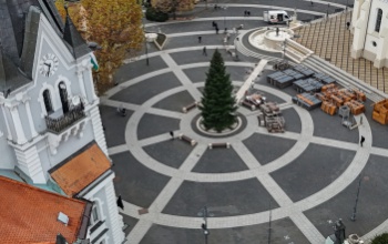 Megérkezett Kaposvár karácsonyfája