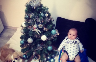 Ignácz Henrietta karácsonyfája