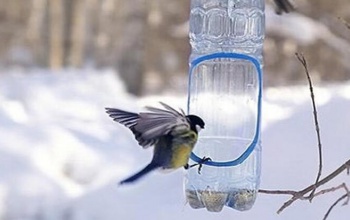 A kevesebb néha több - tippek egy home made madáretetőhöz