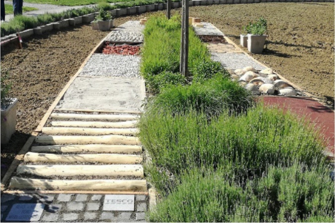 Ötéves a városligeti illatösvény