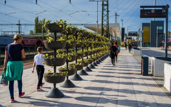 Virágládákat helyeztek ki a Közlekedési Központ peronjára