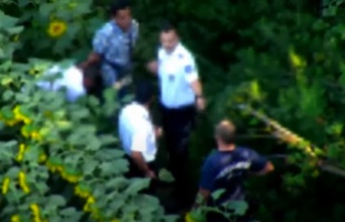 Napraforgó táblában bujkáltak az illegális bevándorlók Balatonújlaknál - videóval
