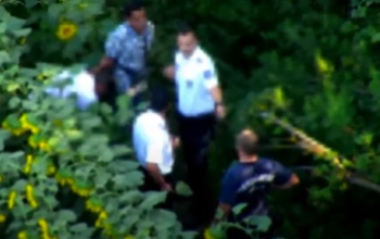 Napraforgó táblában bujkáltak az illegális bevándorlók Balatonújlaknál - videóval