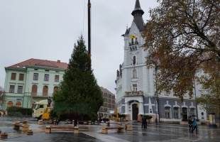 Megérkezett Kaposvár karácsonyfája