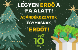 Ajándékozzunk egymásnak jövőt és reményt!