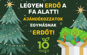 Ajándékozzunk egymásnak jövőt és reményt!