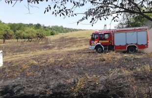 Hét hektáron pusztított a tűz Zamárdinál
