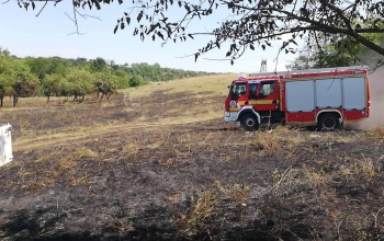 Hét hektáron pusztított a tűz Zamárdinál