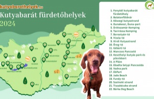 Továbbra is három hivatalos, ebeket is fogadó strand van a Balatonnál