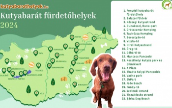 Továbbra is három hivatalos, ebeket is fogadó strand van a Balatonnál