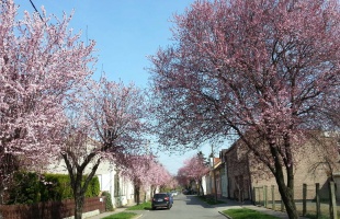 Hűvös kezdés után sok napsütés várható a héten