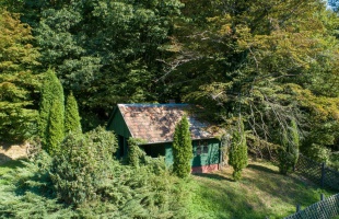 A zselici erdőben is sétálhatunk a StreetView segítségével